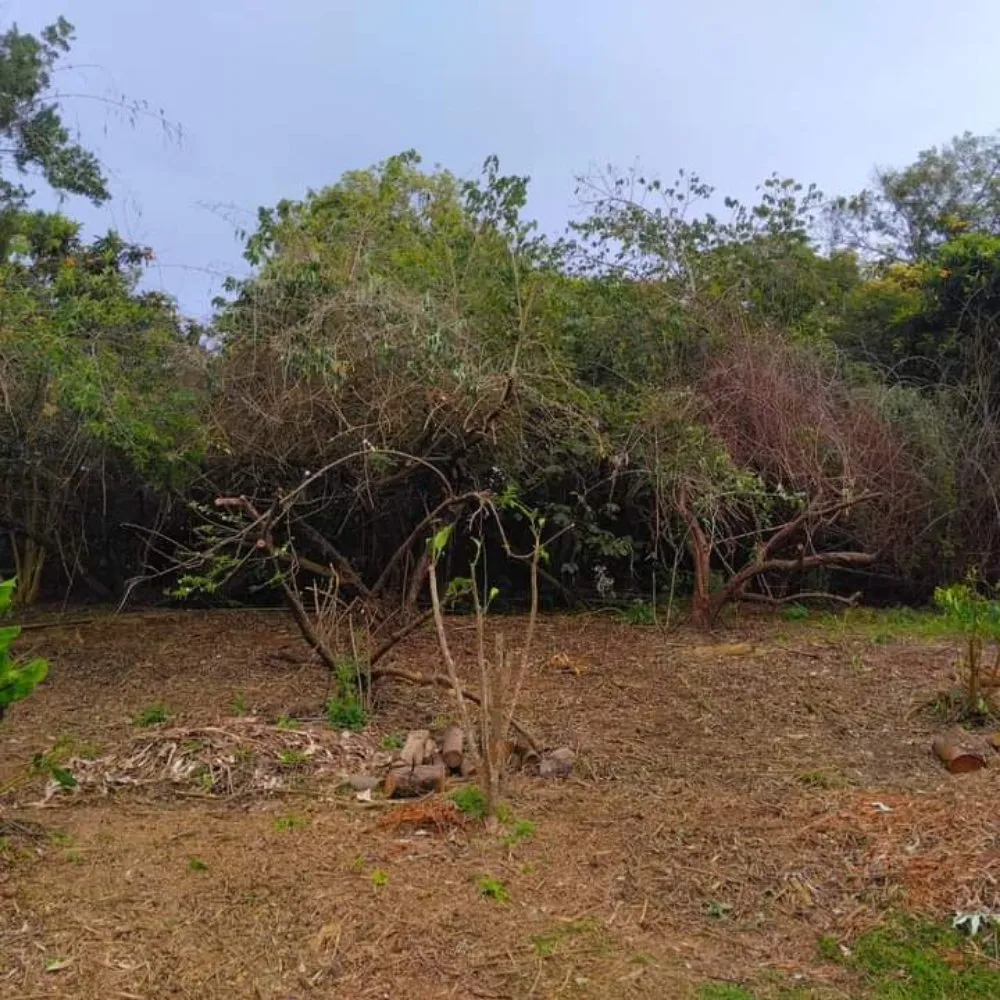 Professional residential landscaping near you across Lahaina, HI - Solidified Outdoor Service's