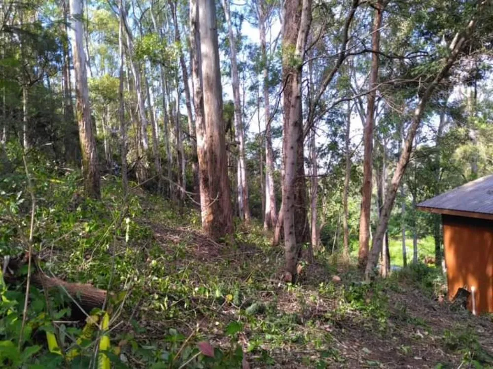 Top-rated lawn care service in Lahaina, HI by Solidified Outdoor Service's