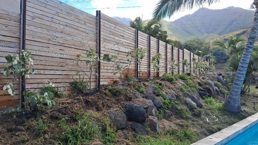 Local lawn care service for homes across Lahaina, HI - Solidified Outdoor Service's