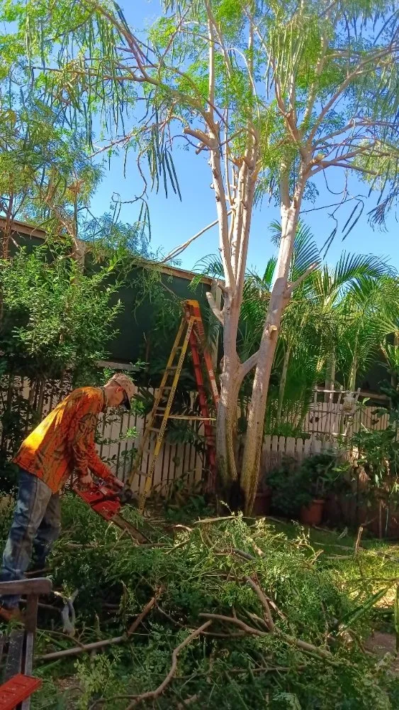 Trusted landscape design for homes in Lahaina, HI by Solidified Outdoor Service's