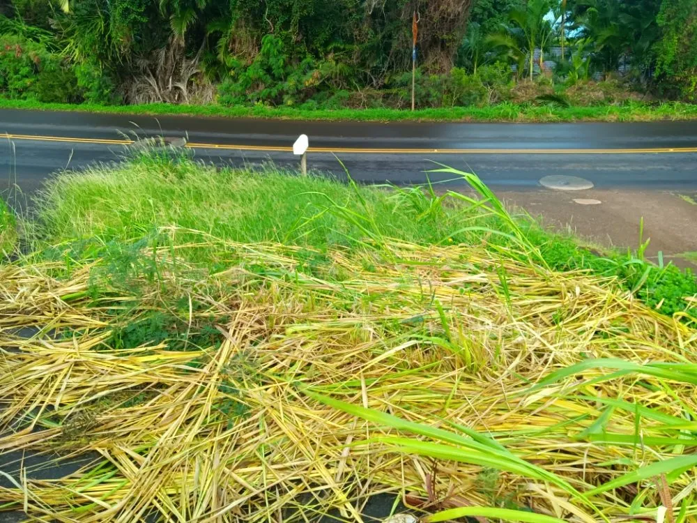 Custom residential landscaping in Lahaina, HI by Solidified Outdoor Service's