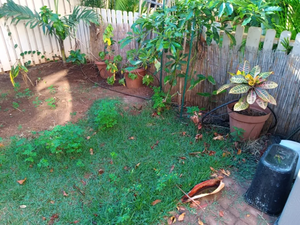 Custom lawn mowing service for beautiful yards across Lahaina, HI - Solidified Outdoor Service's