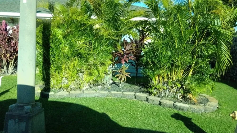 Expert residential landscaping in Lahaina, HI - Solidified Outdoor Service's
