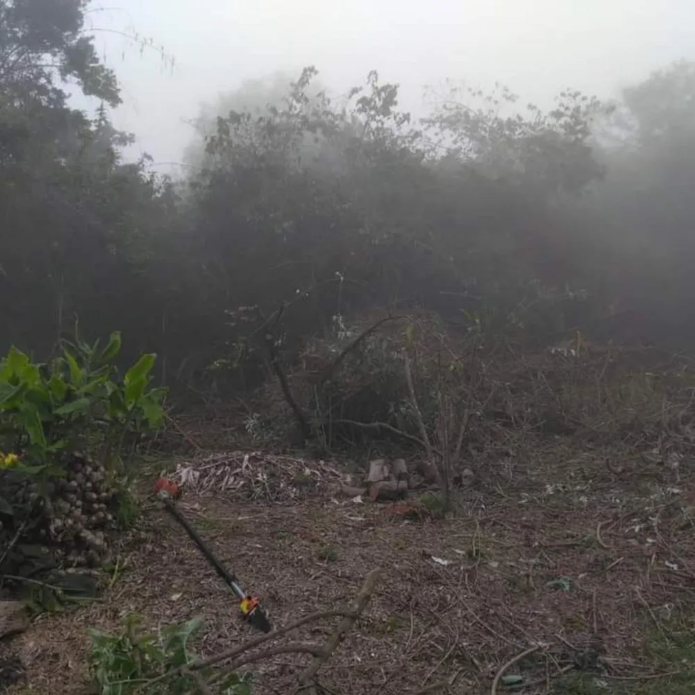 Affordable outdoor landscaping experts serving Lahaina, HI - Solidified Outdoor Service's