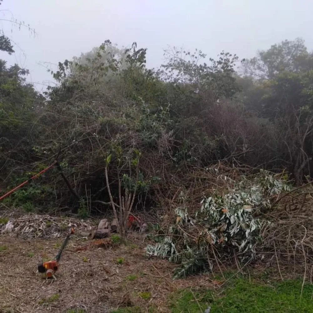 Custom garden landscaping experts serving Lahaina, HI - Solidified Outdoor Service's