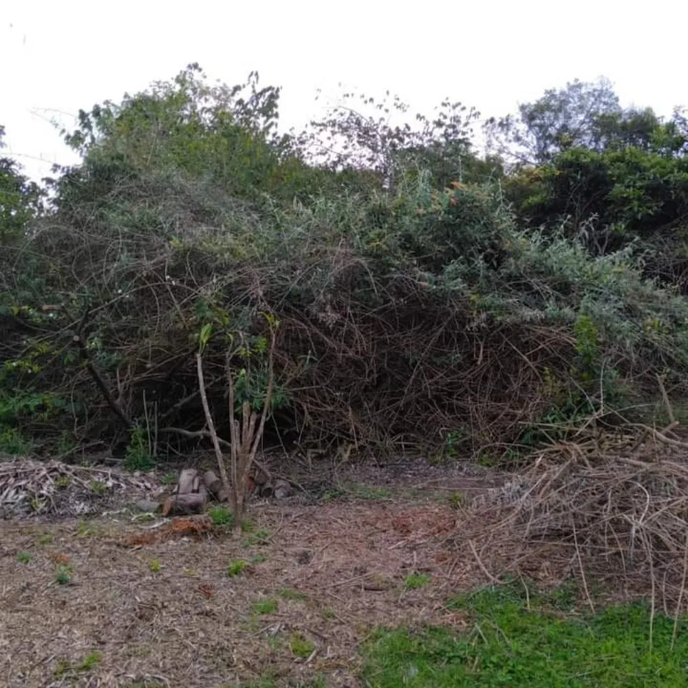 Expert garden landscaping in Lahaina, HI - Solidified Outdoor Service's