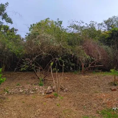 Solidified Outdoor Service's