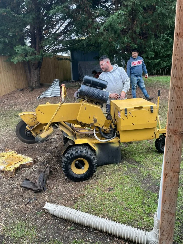 Expert landscaping services for beautiful yards in Puyallup, WA by Solin Landscaping Services