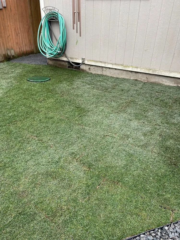 Local outdoor landscaping in Puyallup, WA - Solin Landscaping Services