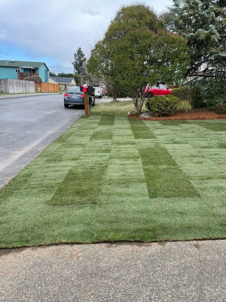Trusted yard maintenance in Puyallup, WA - Solin Landscaping Services