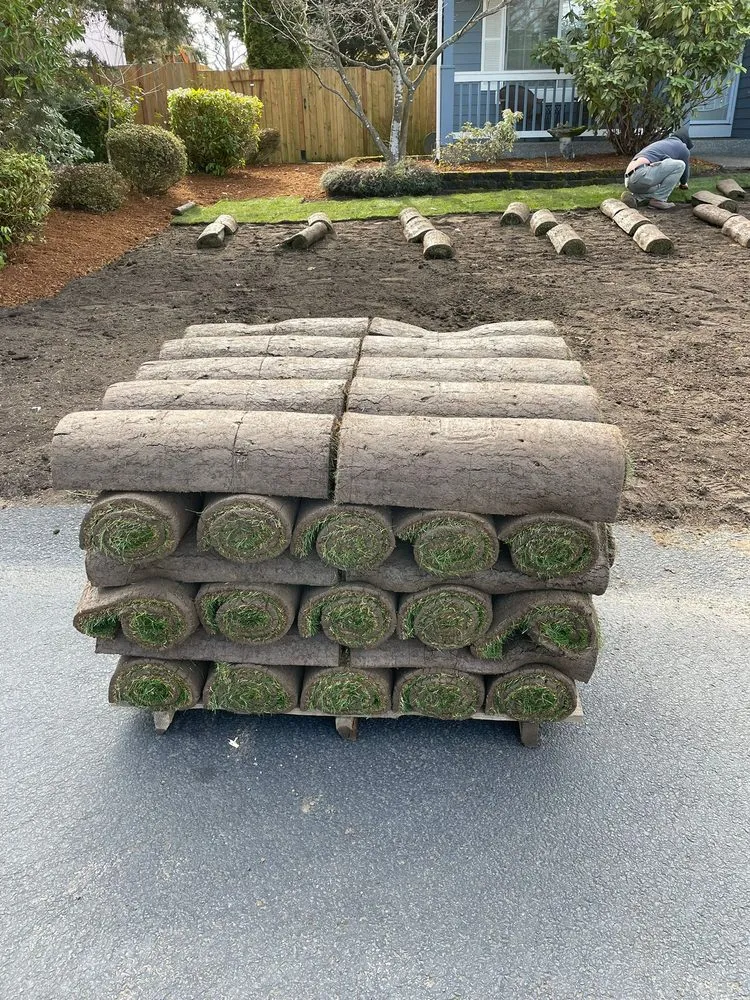 Reliable yard cleanup service experts serving Puyallup, WA - Solin Landscaping Services