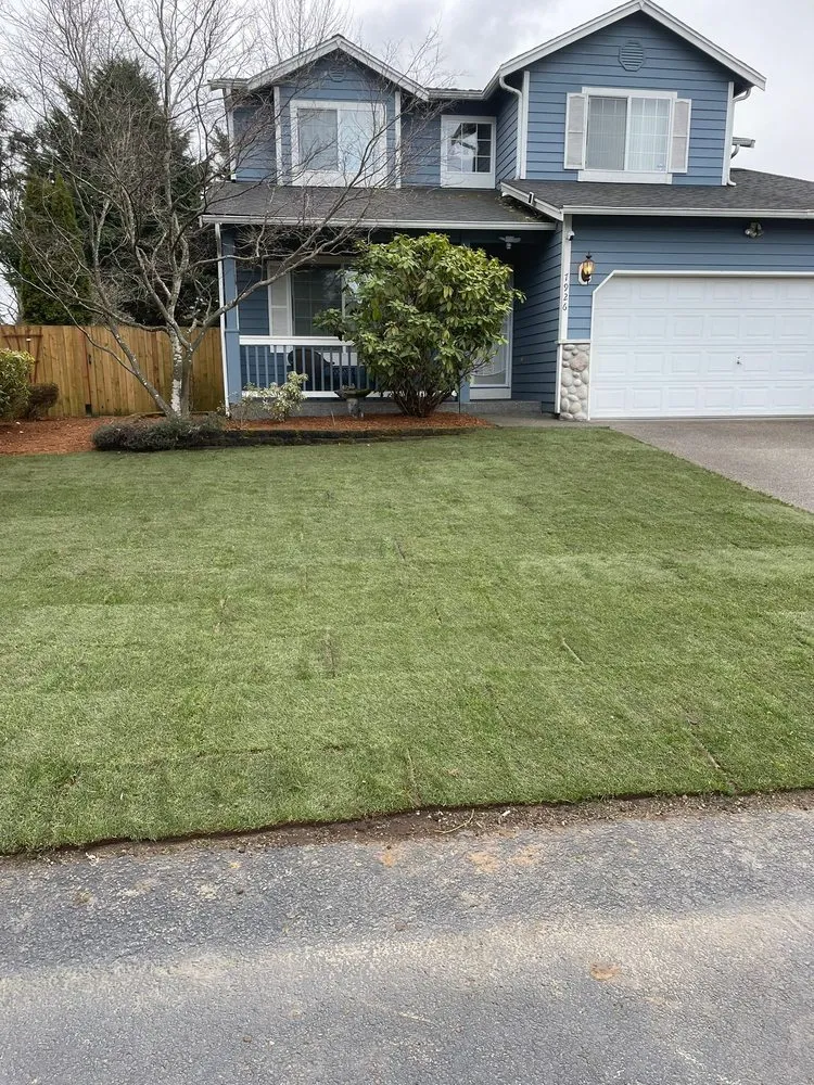 Custom lawn care service experts serving Puyallup, WA - Solin Landscaping Services