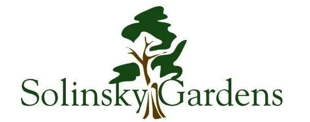 Professional landscape design in Sacramento, CA by Solinsky Gardens