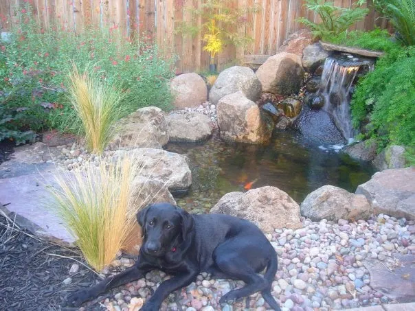 Top-rated outdoor landscaping for outdoor upgrades across Sacramento, CA - Solinsky Gardens