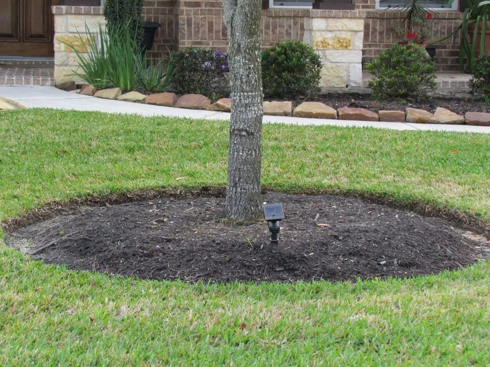 Expert landscape design experts serving Houston, TX - Solis and Son Landscaping