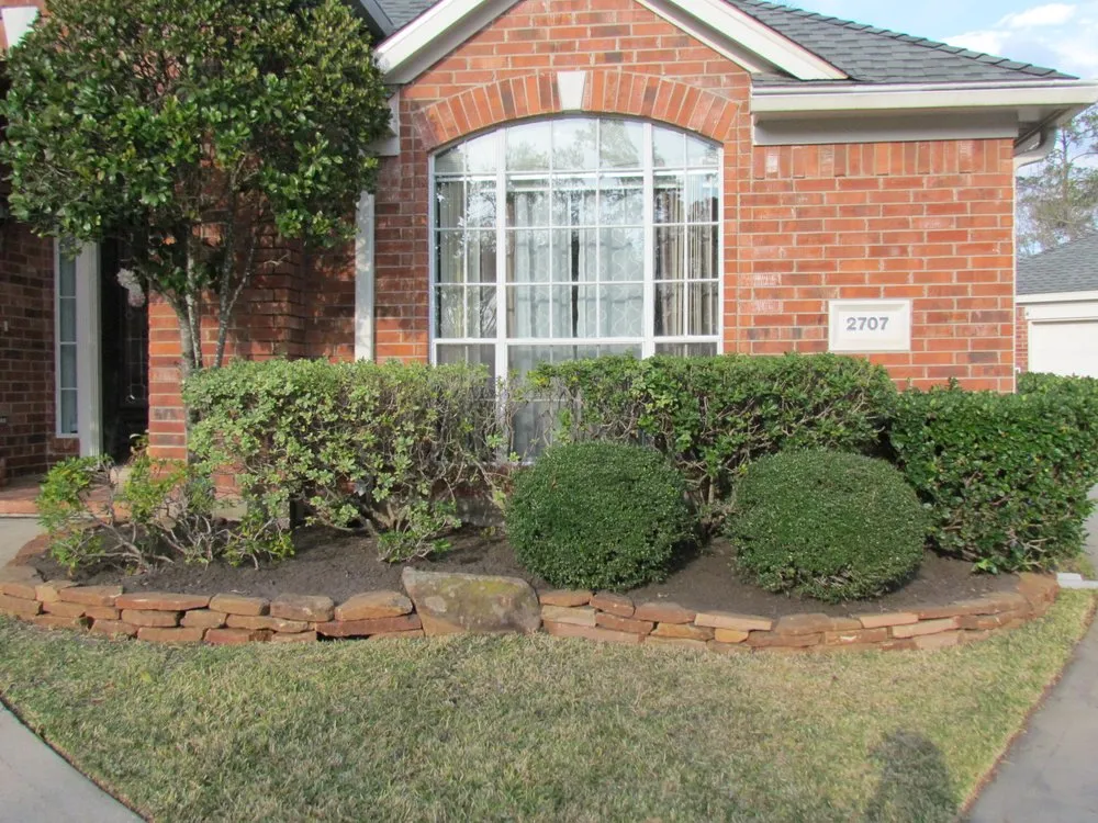 Reliable yard cleanup service experts serving Houston, TX - Solis and Son Landscaping