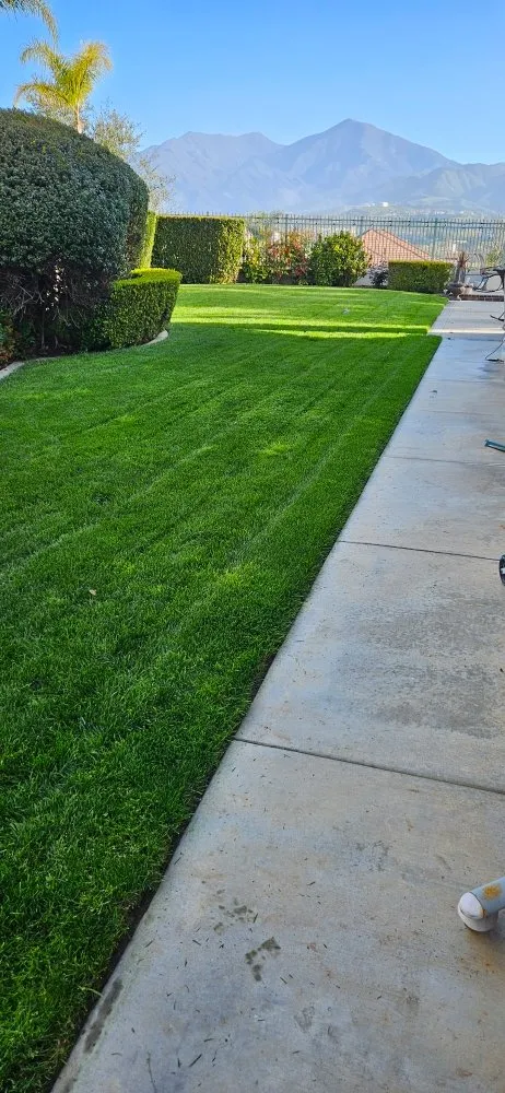 Trusted outdoor landscaping experts serving Laguna Beach, CA - Solis Garden Maintenance