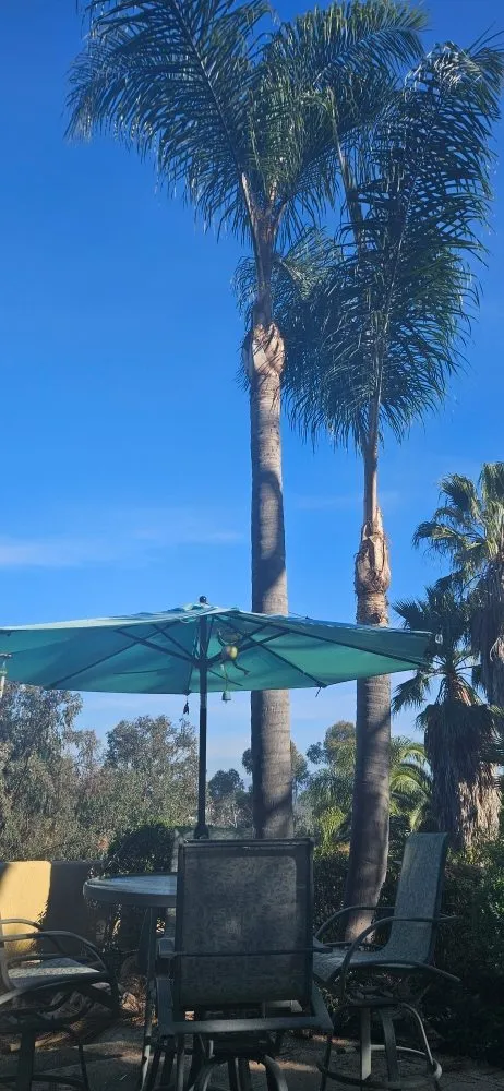 Affordable lawn mowing service experts serving Laguna Beach, CA - Solis Garden Maintenance