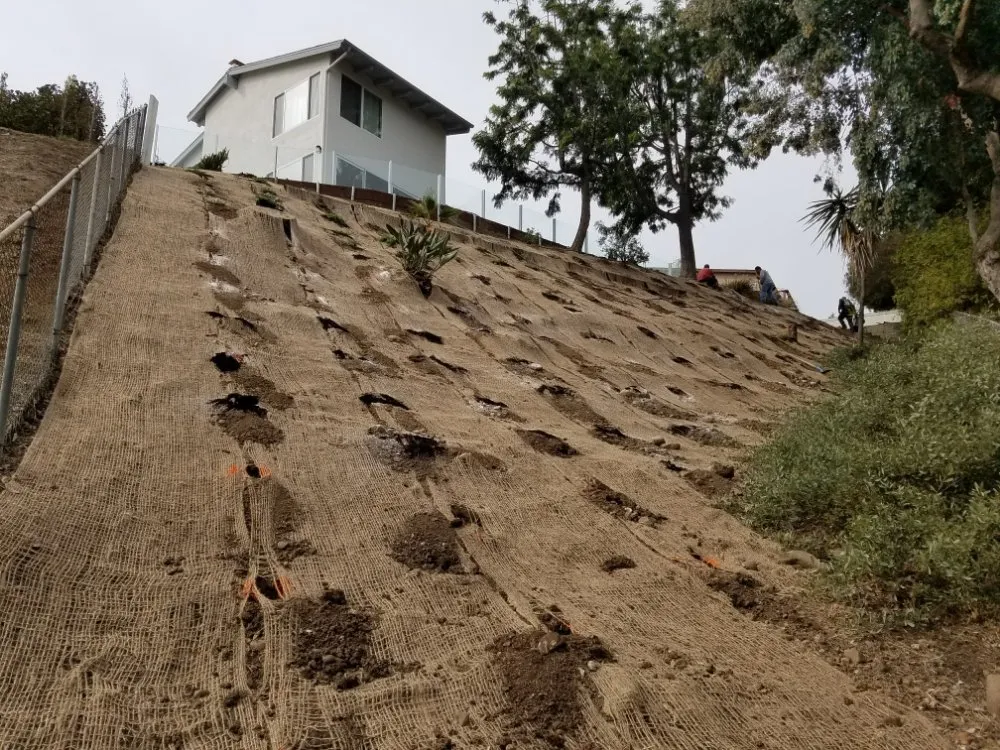 Local residential landscaping in Laguna Beach, CA by Solis Garden Maintenance