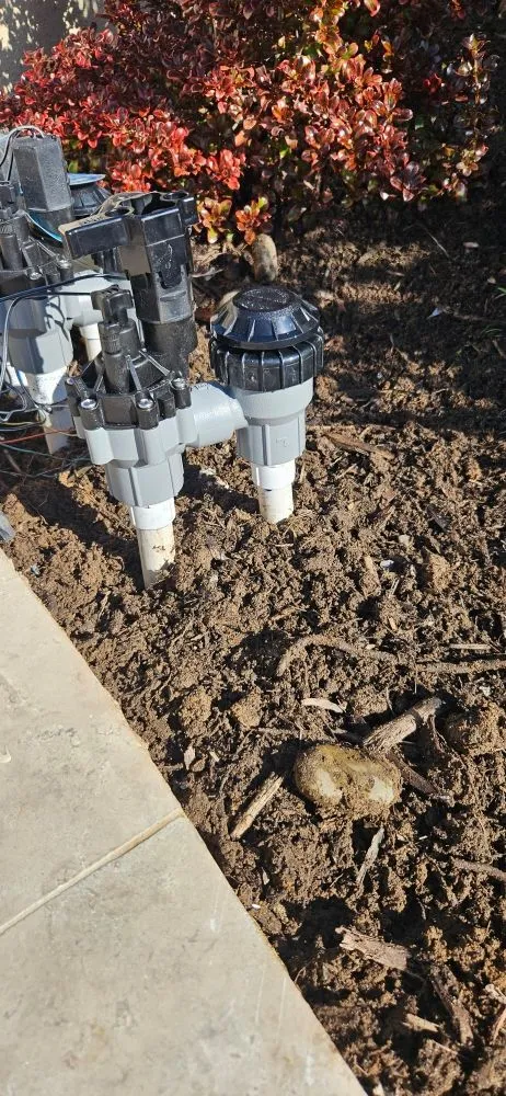 Expert lawn mowing service experts serving Laguna Beach, CA - Solis Garden Maintenance