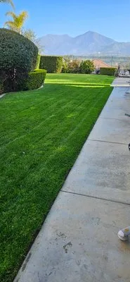 Solis Garden Maintenance Logo