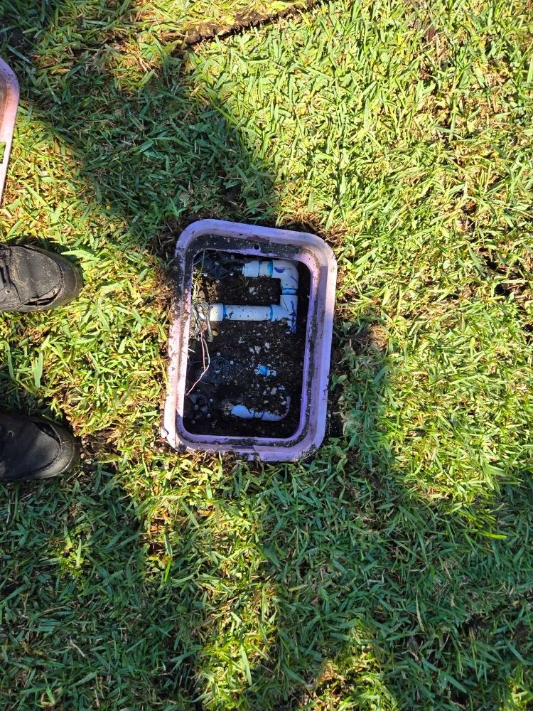 Custom yard cleanup service for homes across Tampa, FL - Solis Landscape & Irrigation