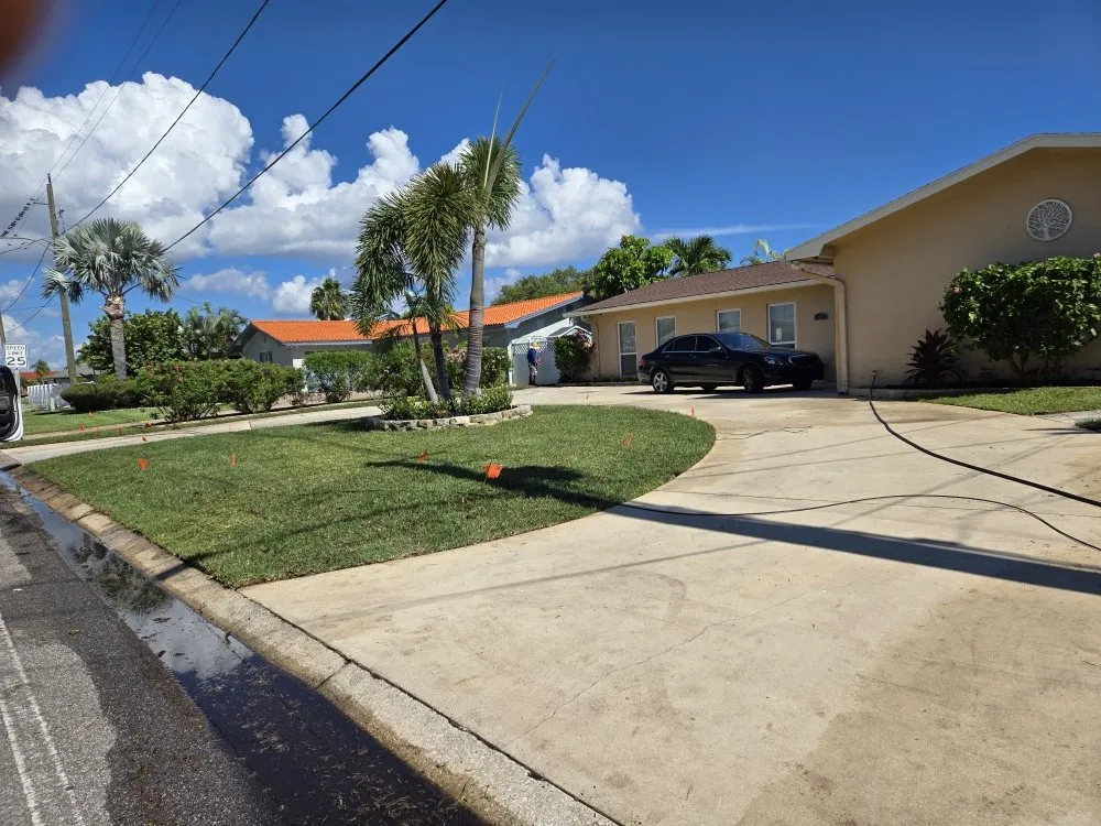 Custom landscape installation in Tampa, FL by Solis Landscape & Irrigation