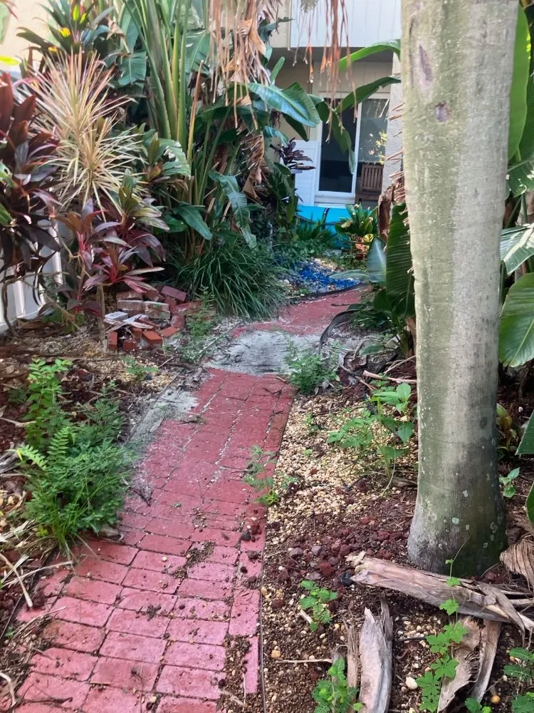 Local outdoor landscaping in Tampa, FL by Solis Landscape & Irrigation