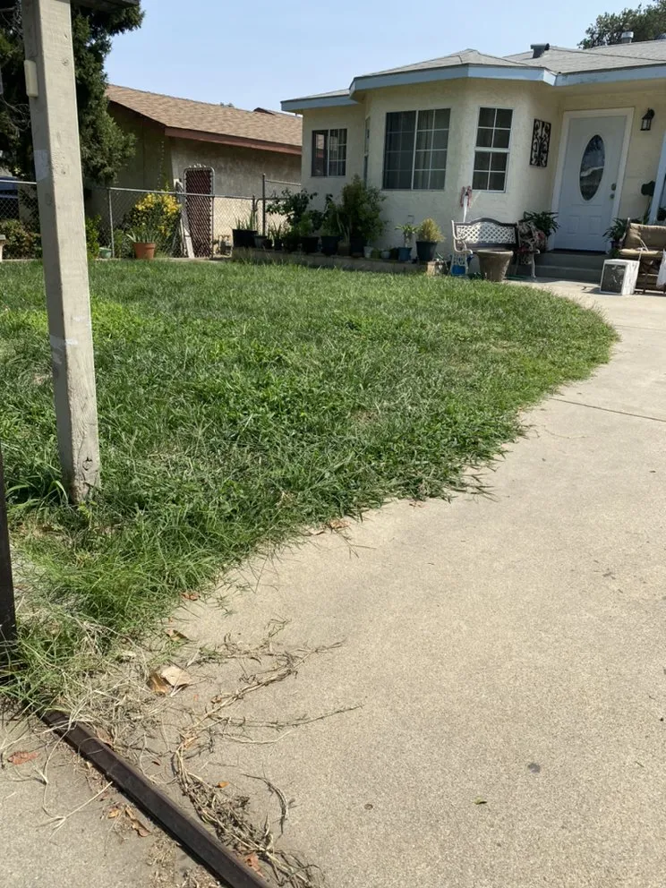 Top-rated residential landscaping with custom design in Duvall, WA by Solis Landscape