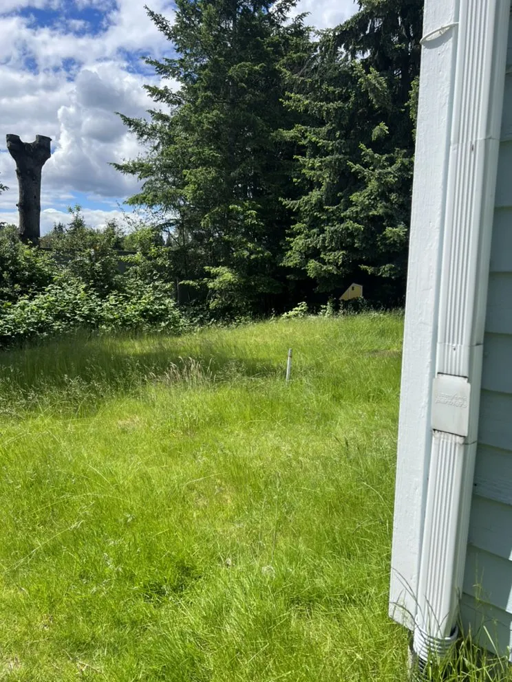 Top-rated lawn mowing service experts serving Duvall, WA - Solis Landscape