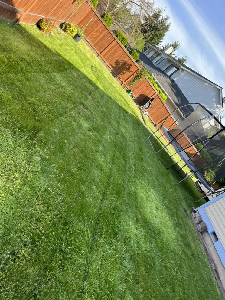 Top-rated residential landscaping for year-round maintenance across Duvall, WA - Solis Landscape