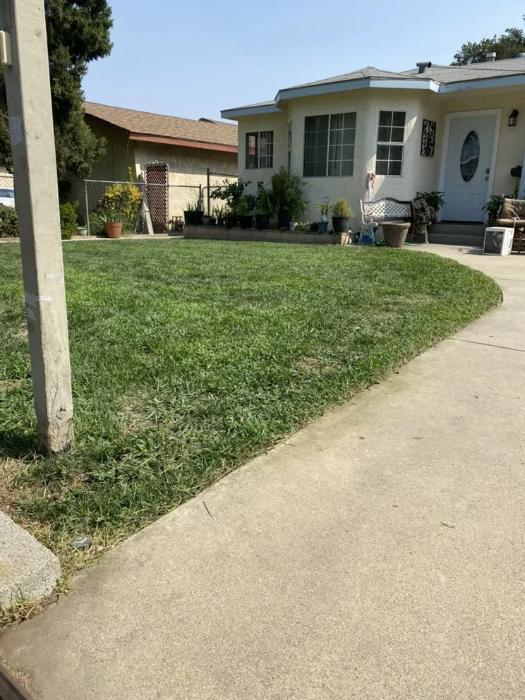 Affordable outdoor landscaping for residential properties across Duvall, WA - Solis Landscape