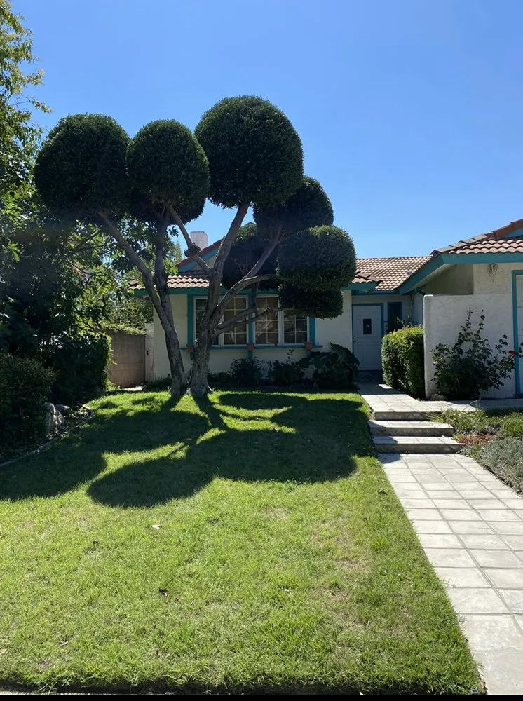 Reliable lawn care service with custom design in Duvall, WA by Solis Landscape