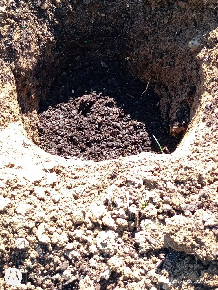 Top-rated outdoor landscaping for year-round maintenance in Unionville, TN by Solis landscapes