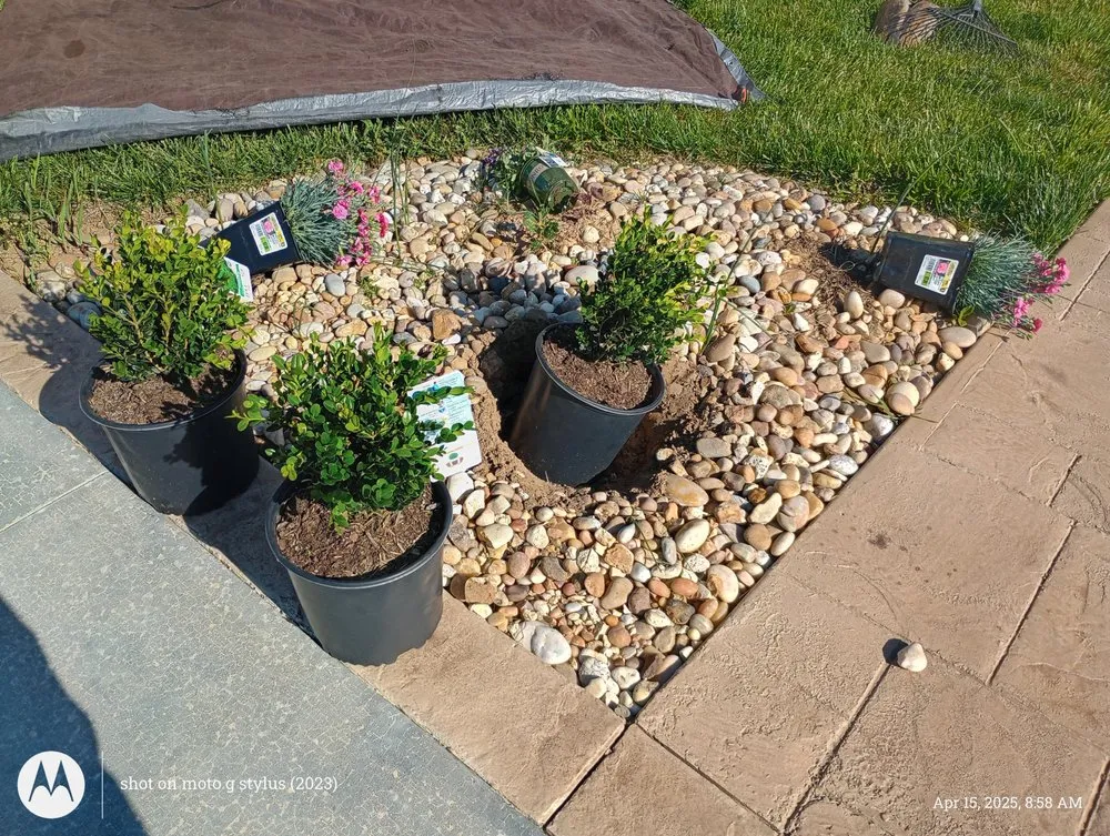 Expert lawn mowing service for outdoor upgrades across Unionville, TN - Solis landscapes