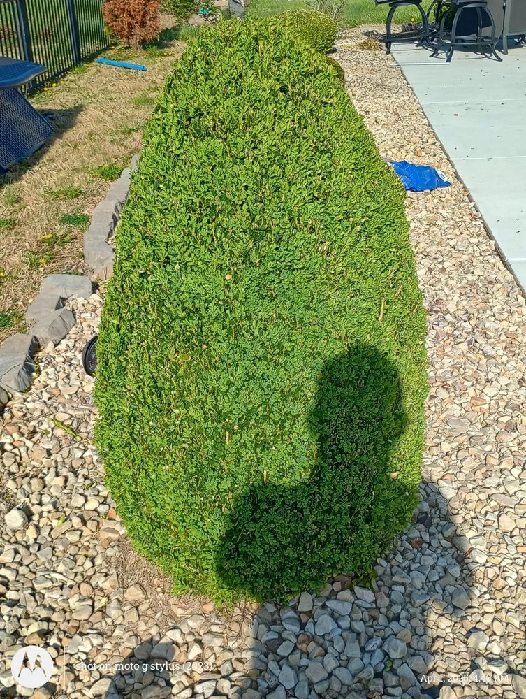 Affordable outdoor landscaping in Unionville, TN by Solis landscapes