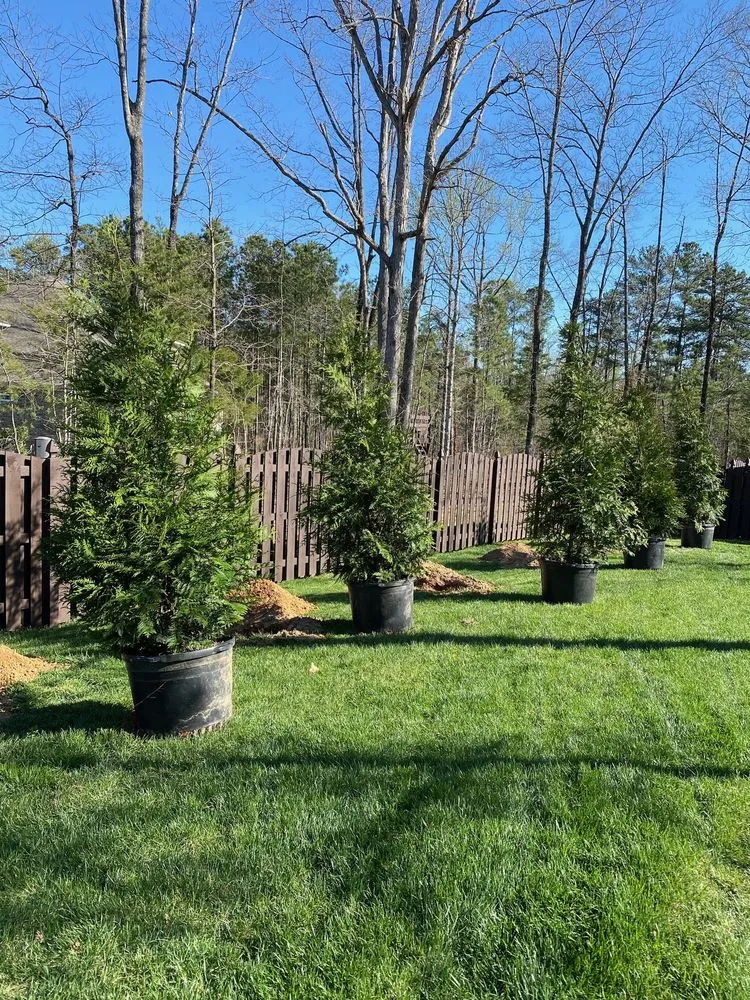 Top-rated lawn mowing service for beautiful yards in Huntsville, AL by Solis Landscaping