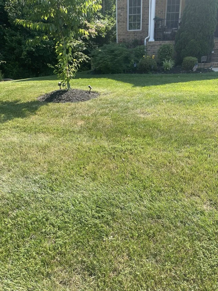 Top-rated landscaping services in Fredericksburg, VA - Solis Landscaping Services