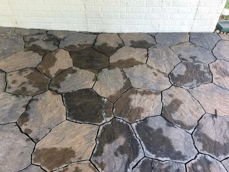 Custom residential landscaping in Fredericksburg, VA - Solis Landscaping Services