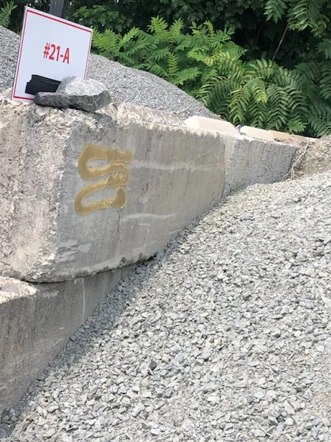 Professional yard cleanup service in Fredericksburg, VA - Solis Landscaping Services