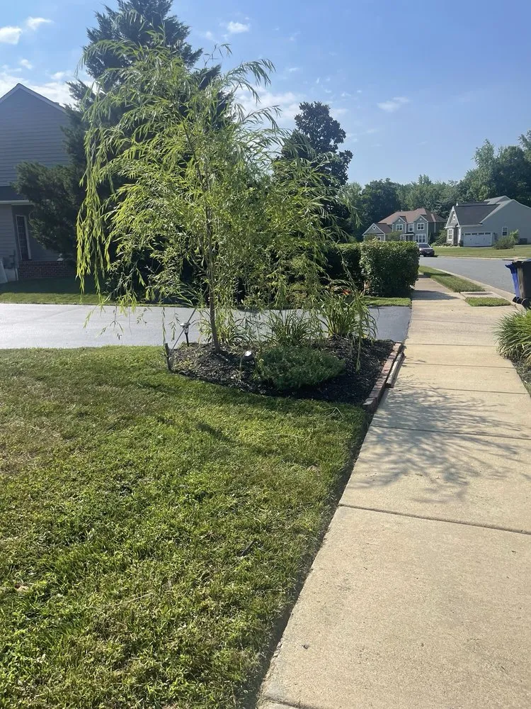 Expert lawn care service in Fredericksburg, VA - Solis Landscaping Services