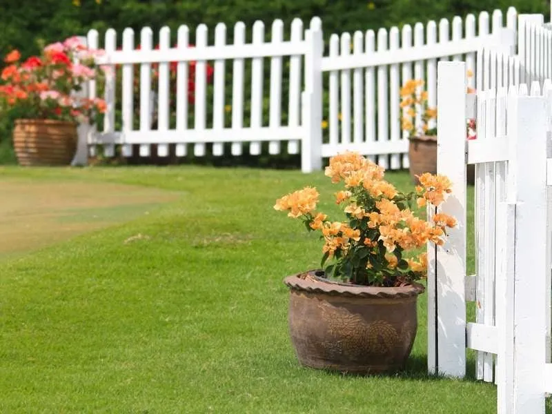 Professional outdoor landscaping for year-round maintenance in Fredericksburg, VA by Solis Landscaping Services