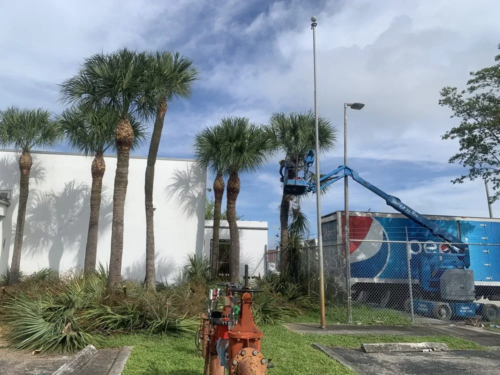 Reliable yard maintenance experts serving Indiantown, FL - Solis Landscaping Services