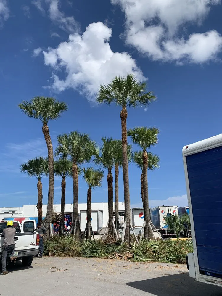 Professional garden landscaping for beautiful yards across Indiantown, FL - Solis Landscaping Services