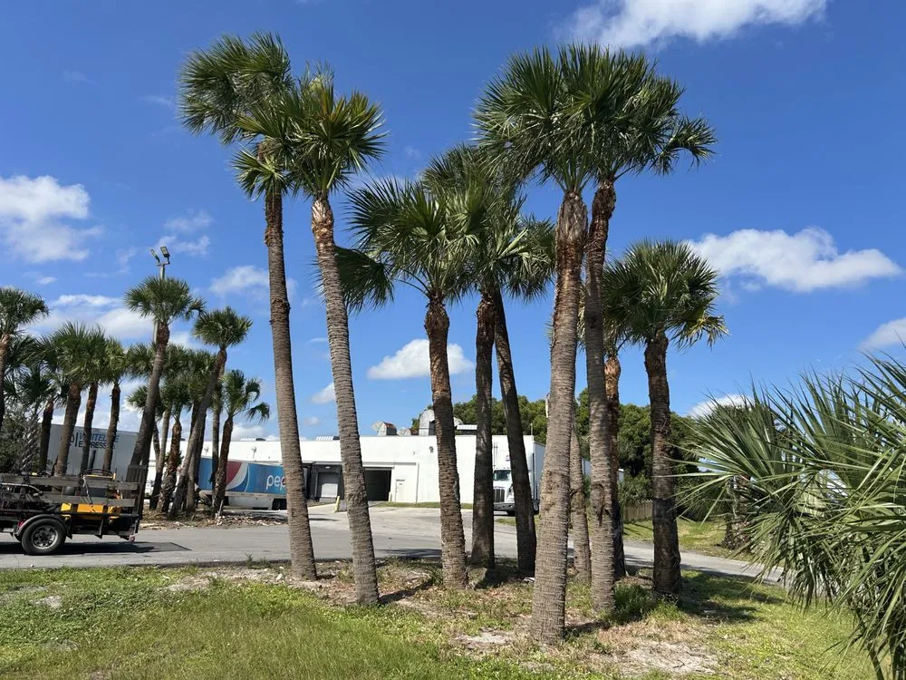 Top-rated landscape design in Indiantown, FL by Solis Landscaping Services