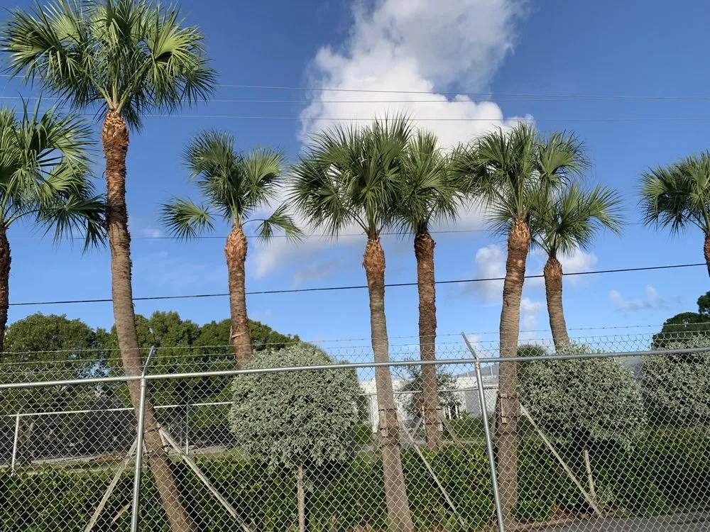 Expert outdoor landscaping for residential properties across Indiantown, FL - Solis Landscaping Services