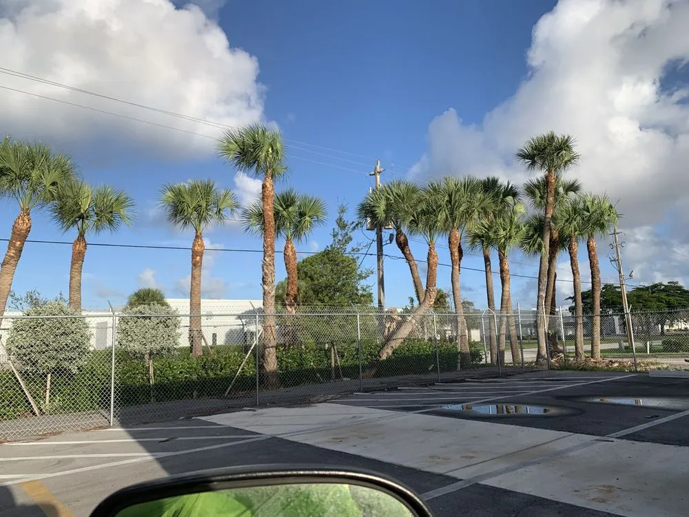 Custom outdoor landscaping for beautiful yards across Indiantown, FL - Solis Landscaping Services