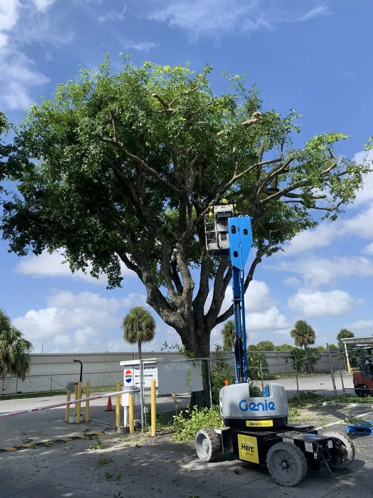 Professional landscape design for homes in Indiantown, FL by Solis Landscaping Services