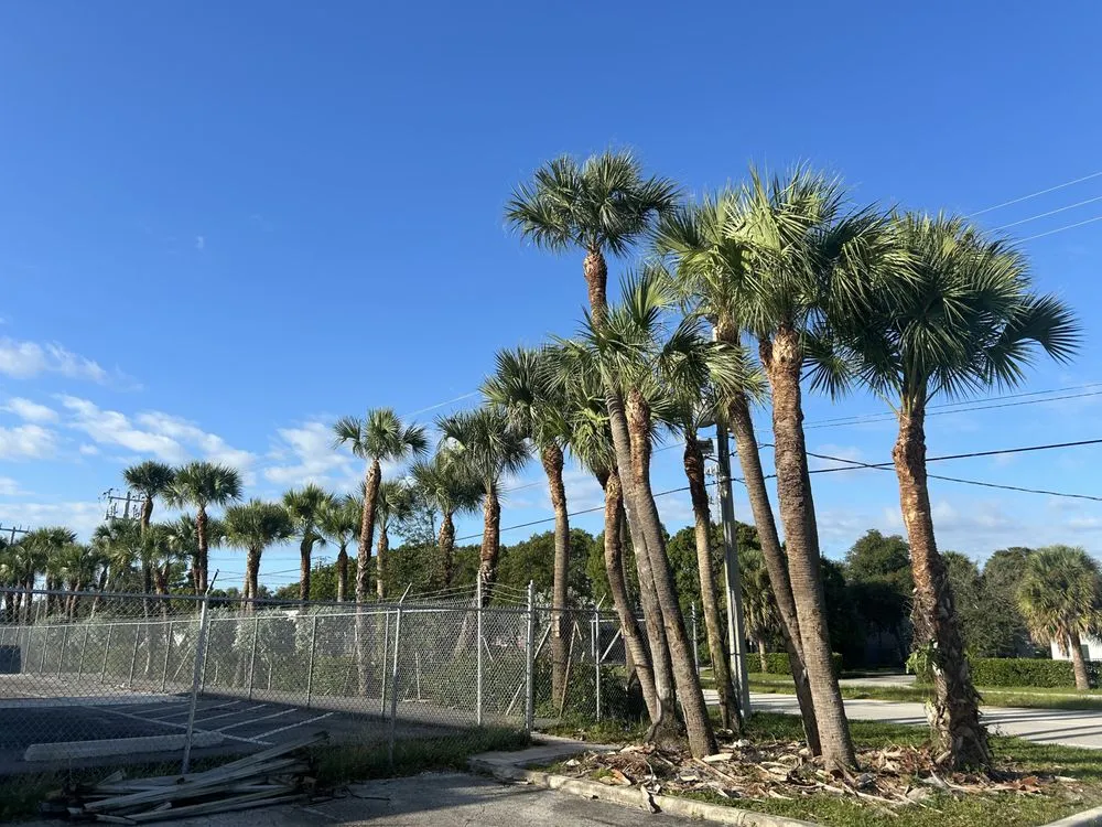 Reliable residential landscaping in Indiantown, FL by Solis Landscaping Services