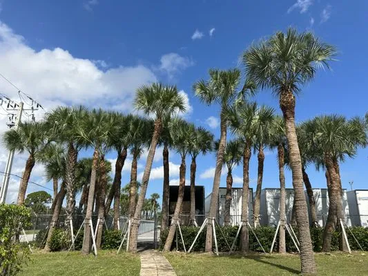 Solis Landscaping Services